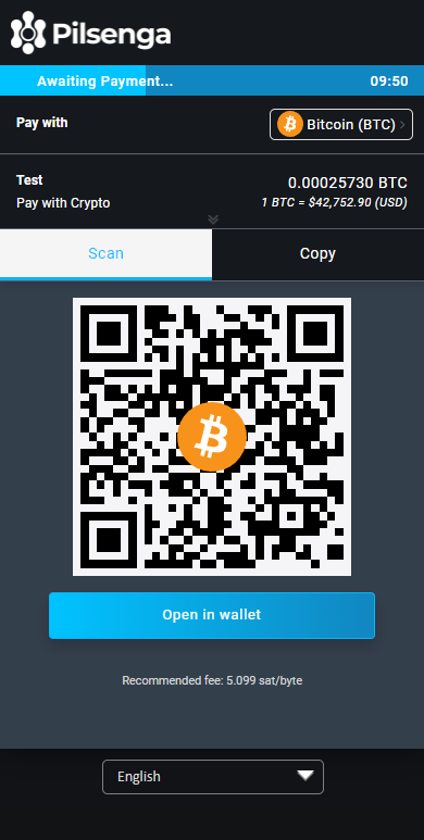 Bitcoin payment processor and Ethereum payment processor